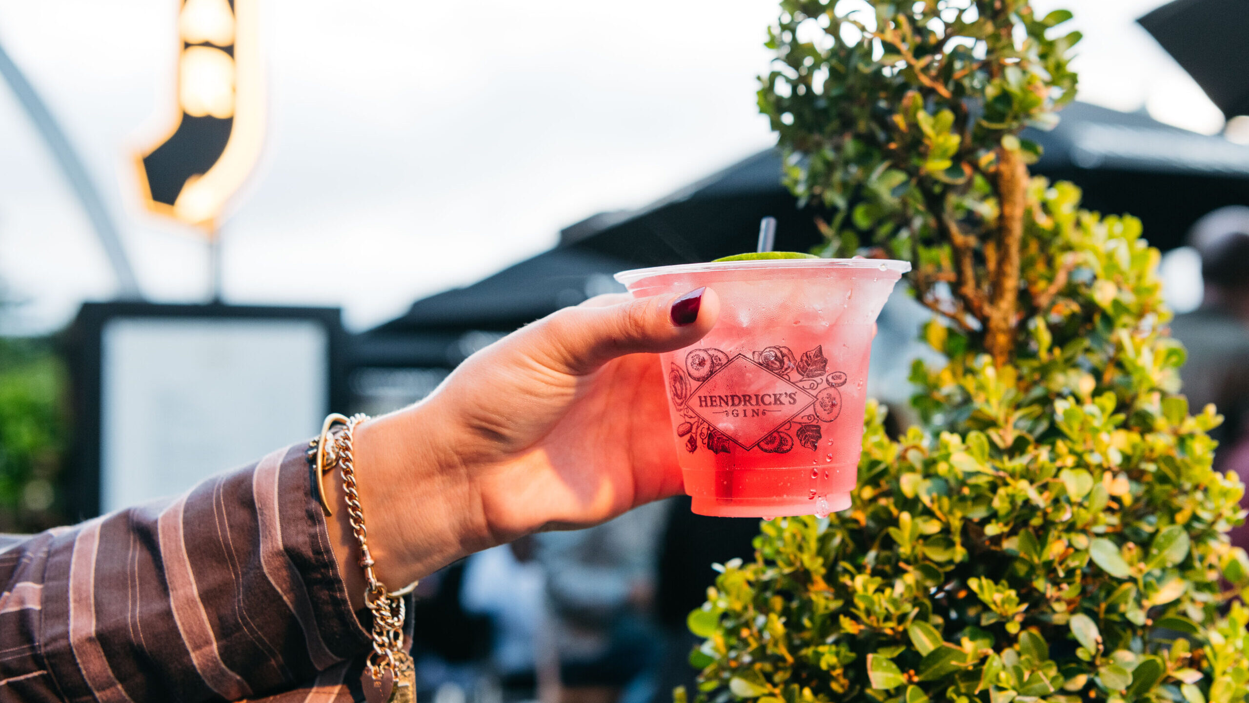 250109-WestpacOpenAir-2025-BuffetDigital-PatStevenson-0209